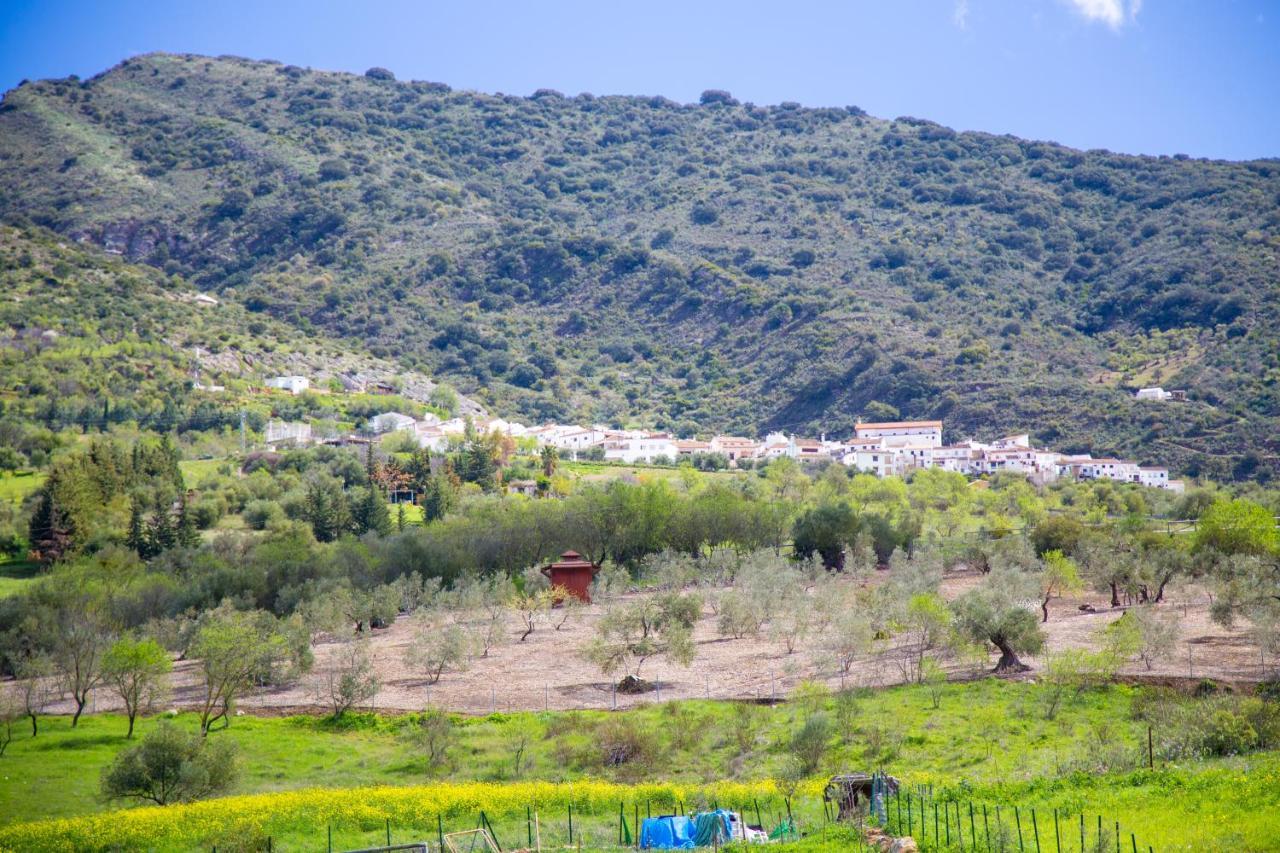 Hotel Rural Inz-Almaraz Jimera de Líbar エクステリア 写真